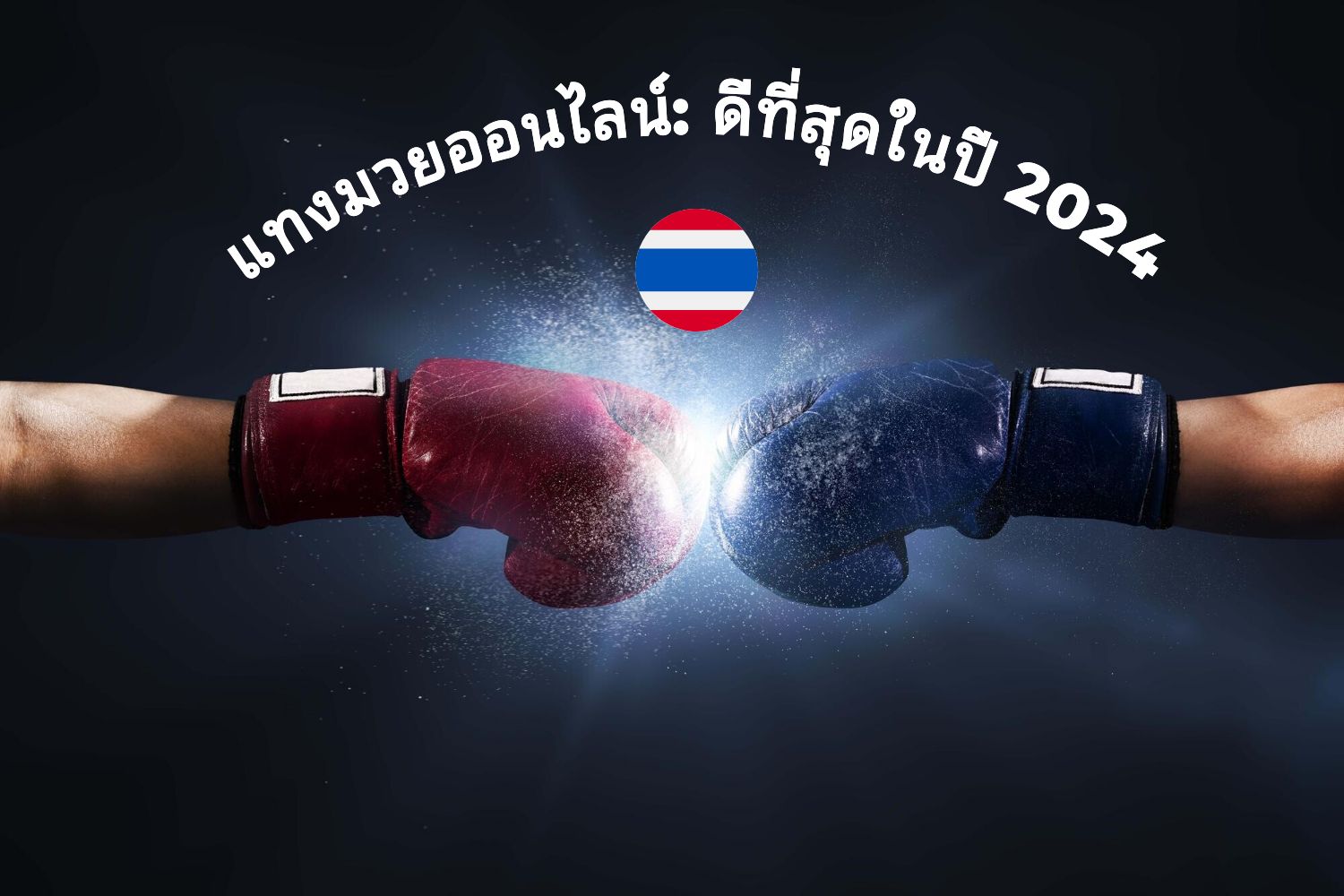 แทงมวยออนไลน์: ดีที่สุดในปี 2024