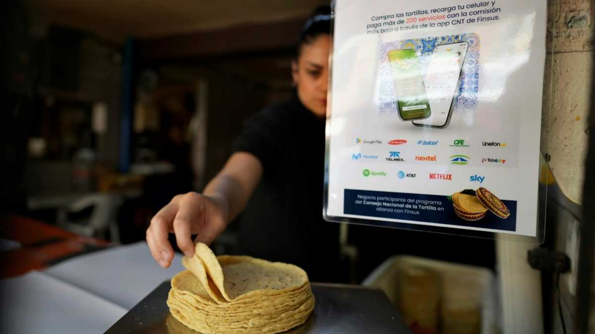 App helps Mexican tortilla makers join digital economy