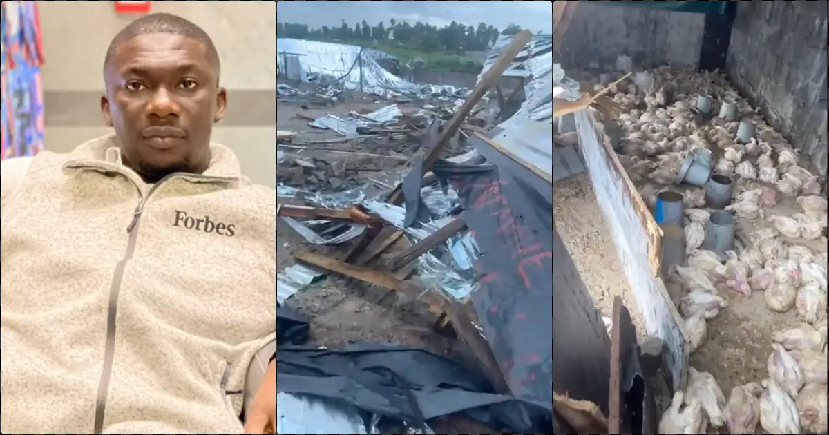 Poultry farmer distraught as FCDA destroys his ₦150m investment