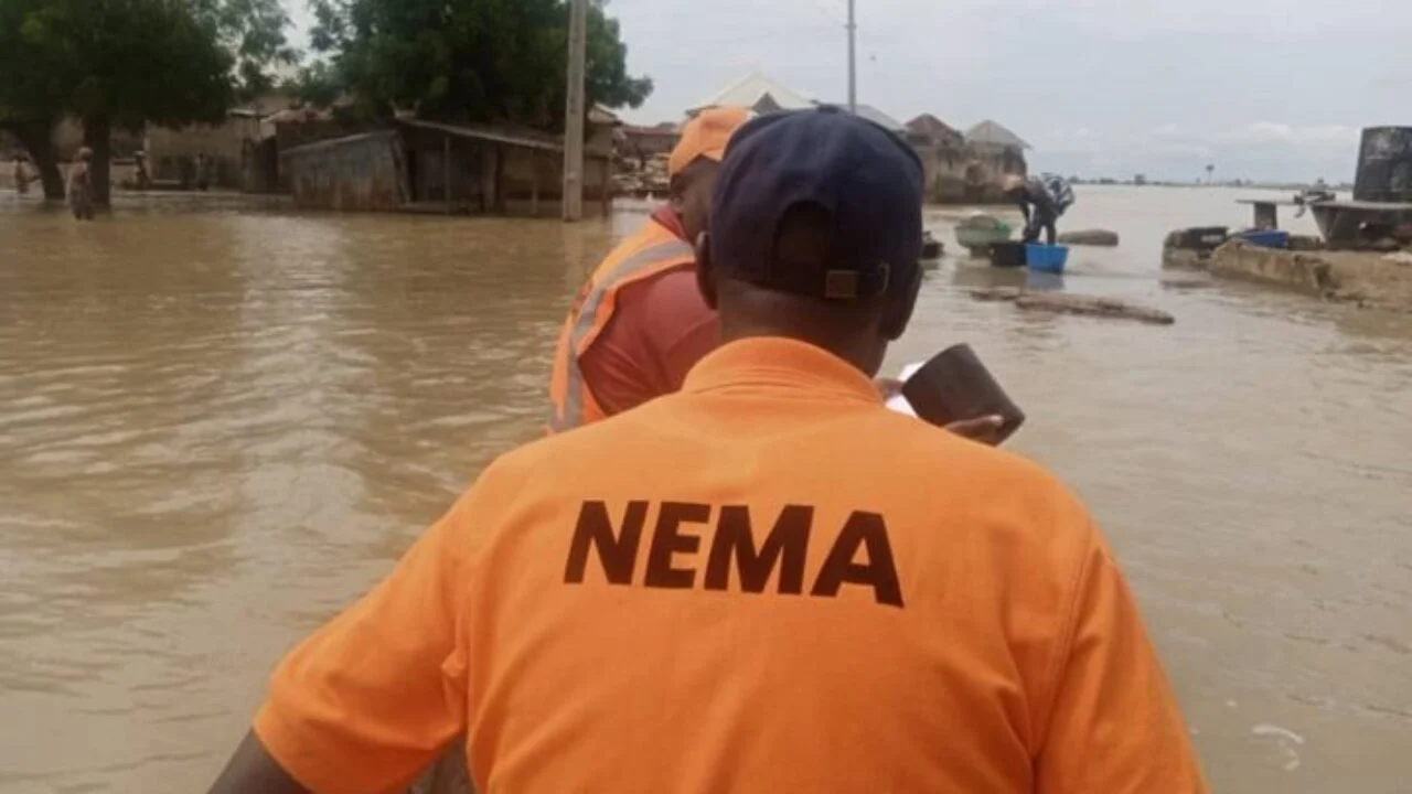 1m Affected, 94,741 Homeless, Farmlands Submerged By Flood – NEMA