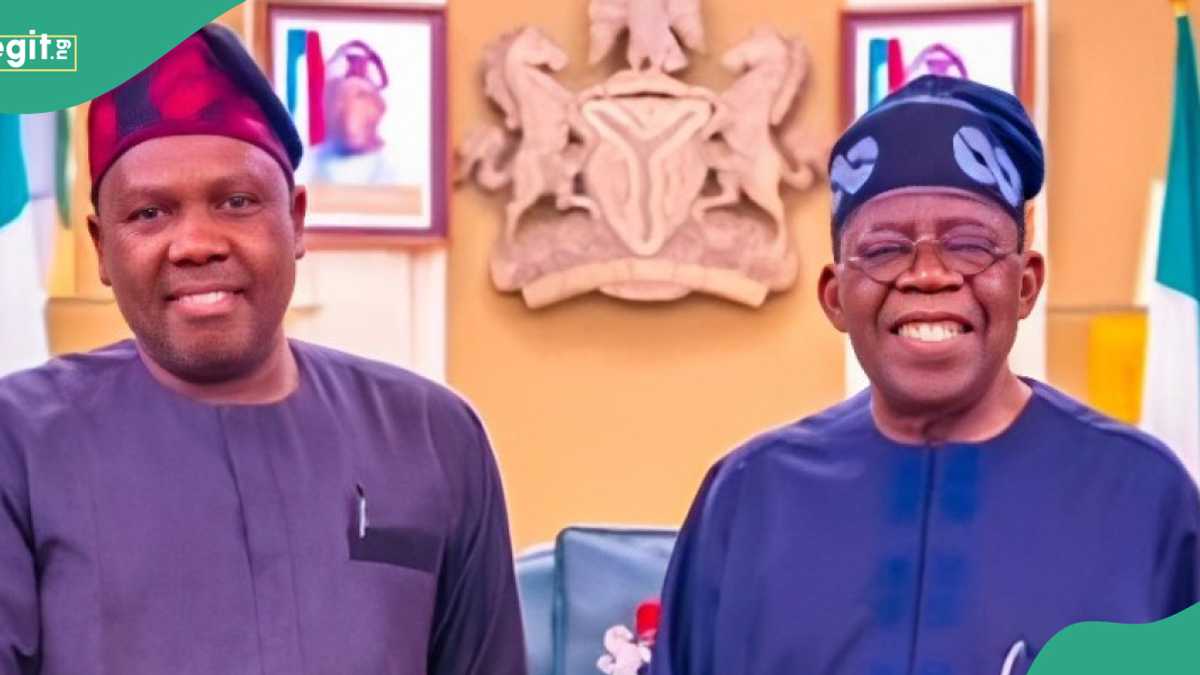 Ajuri Ngelale: Northern Group Warns Tinubu Against Appointing Bwala As Spokesperson, Gives Reason