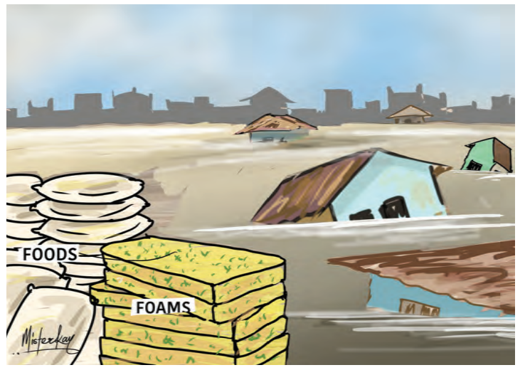 Borno Flood