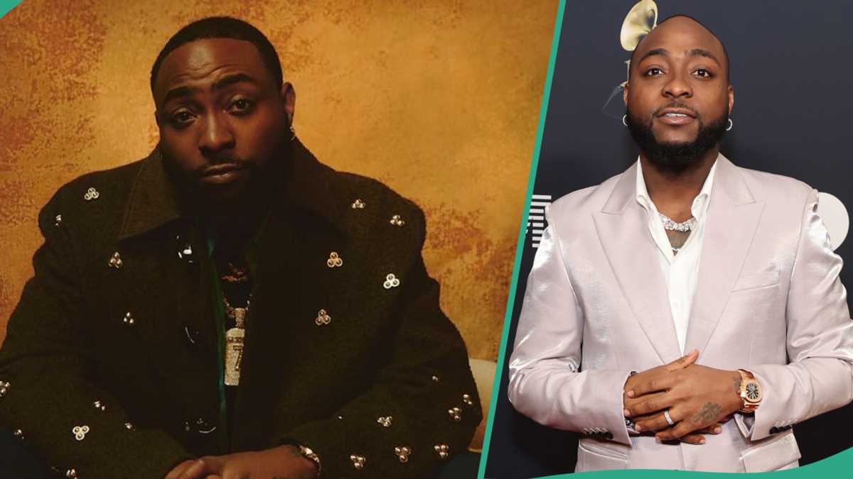 Davido Fumes, Asks People to Stop Probing His Net Worth, Wizkid FC Reacts: "You Fit Feed Nigeria?”