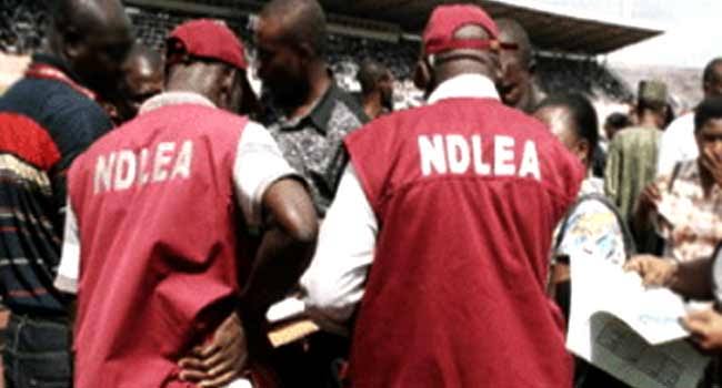 Edo governorship election: NDLEA told to conduct serious drug test on frontline candidates