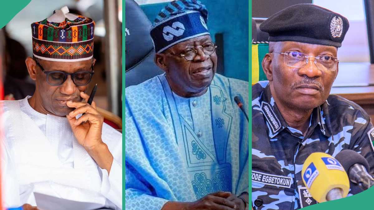 FULL LIST: Tinubu's 15 Security Teams and Their Regions