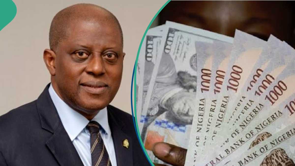 From frying pan to fire: How Naira Loses Over 50% of Its Value After Cardoso Took Over From Emefiele