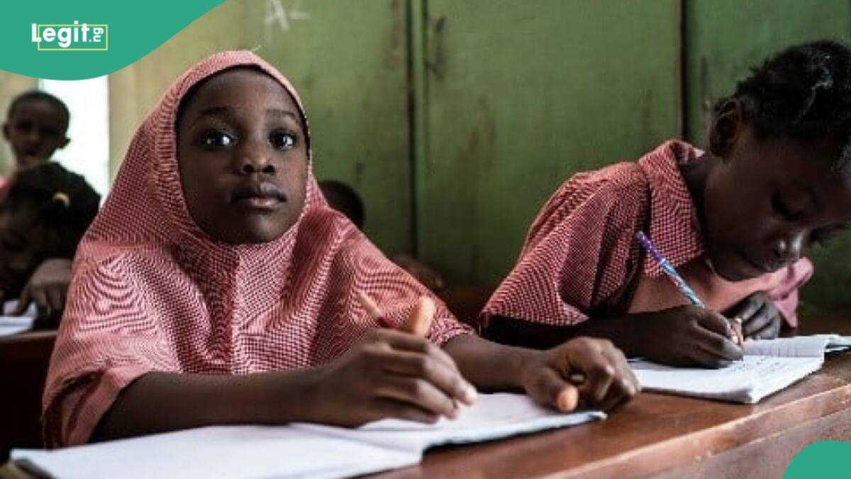 Fuel Hike: Surge in School Dropouts Looms as PTA, NUT Raise Alarm Over Poor Education Patronage