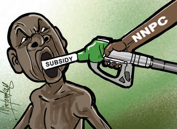 Fuel Subsidy