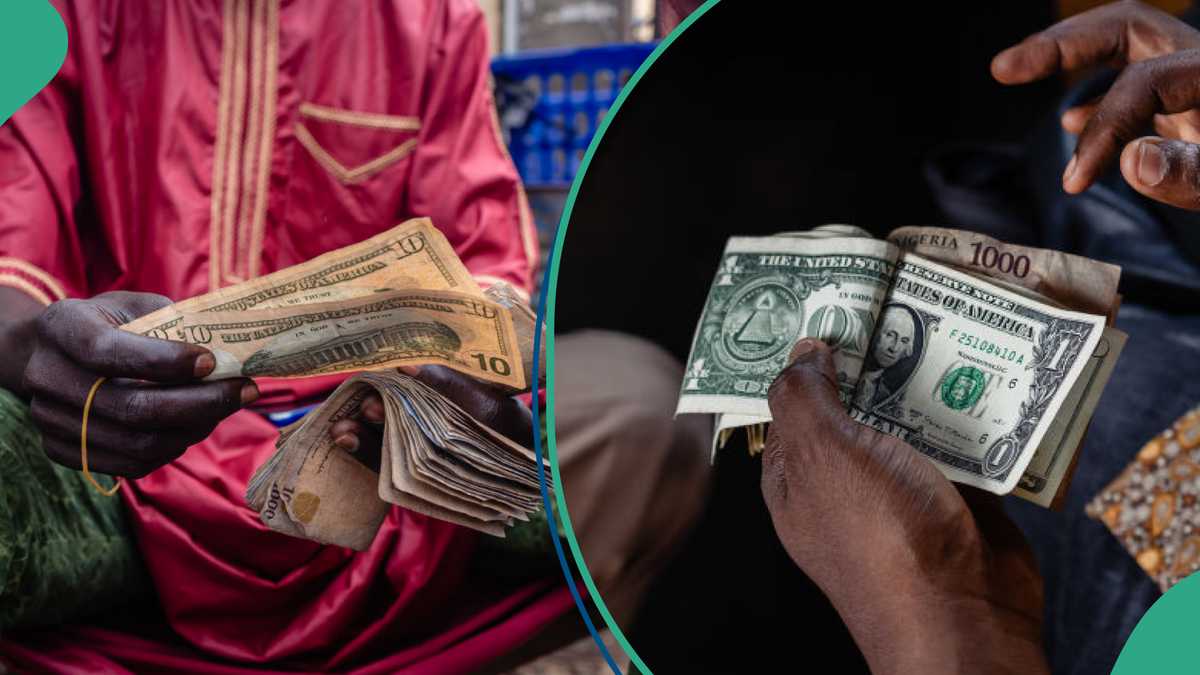 Gap Between Official, Black Markets Widens as Naira Depreciation Begins Amid FX Turnover Decline