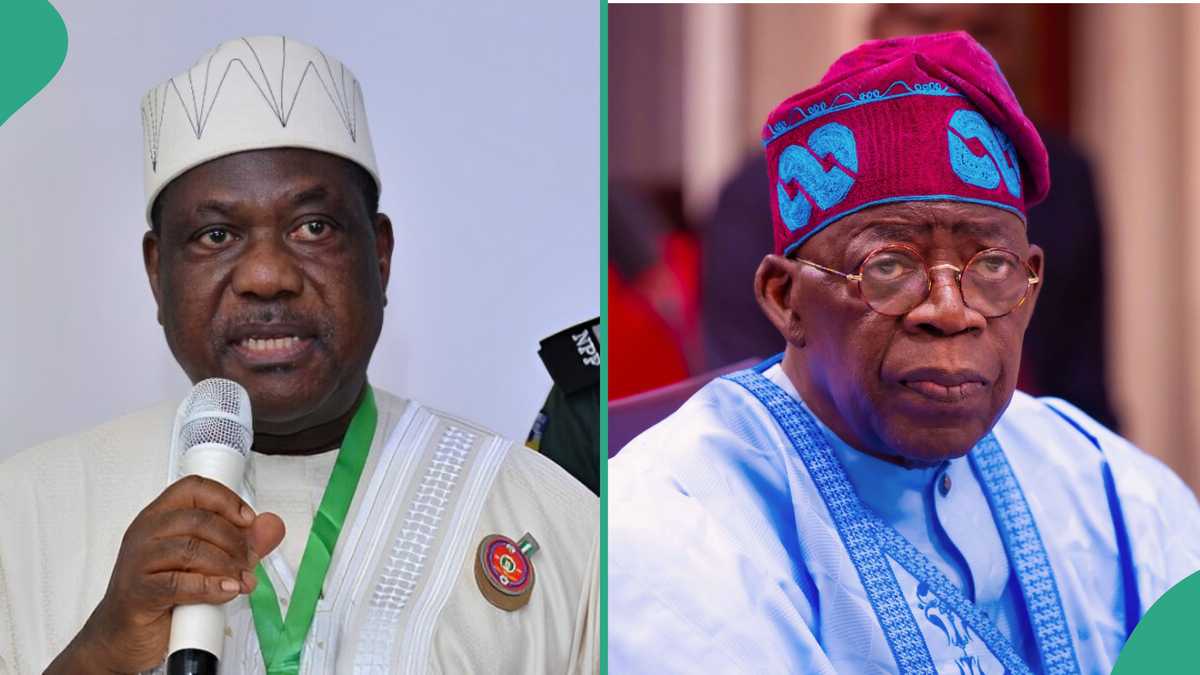 Hardship: Tinubu’s Govt to Hold Low-Key 64th Independence Anniversary, Reason Emerges