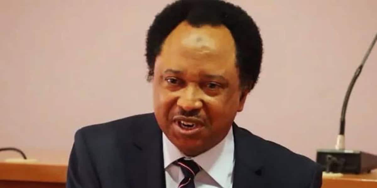 “Impose heavy fine on citizens with PVC who refuse to vote during elections” — Shehu Sani