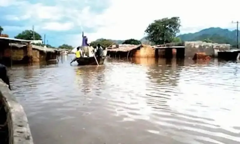 Kano donates N100m to Borno govt, flood victims