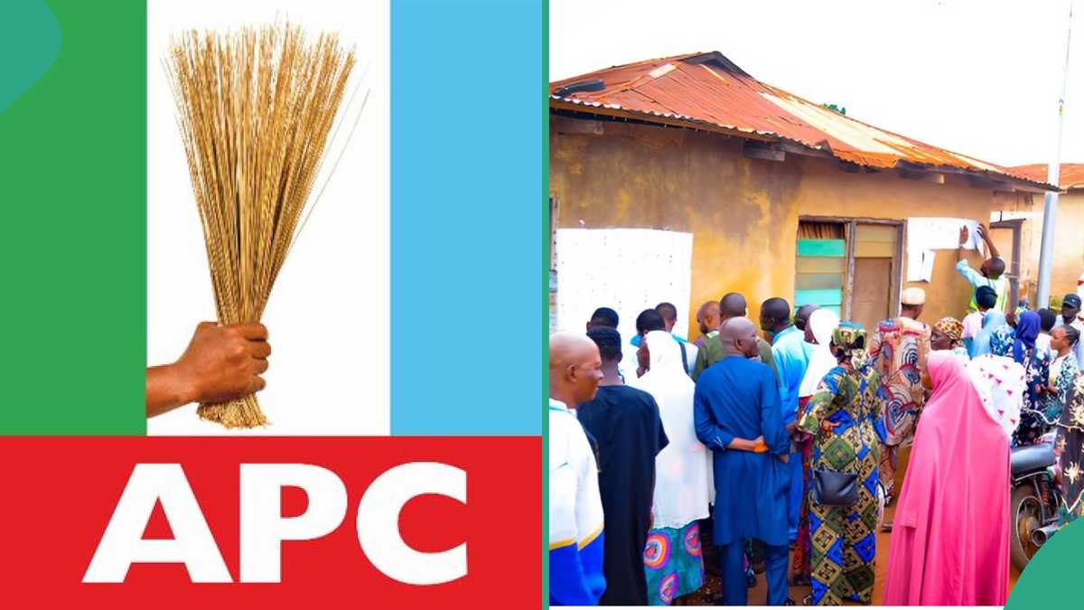 Kwara LG Polls: APC Wins All Chairmanship, Councillorship Positions, Breakdown of Results Emerge