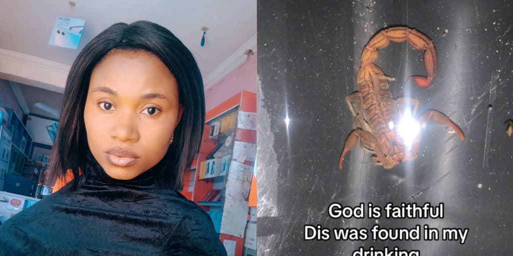 Lady discovers live scorpion in drinking cup inside her bedroom, post goes viral