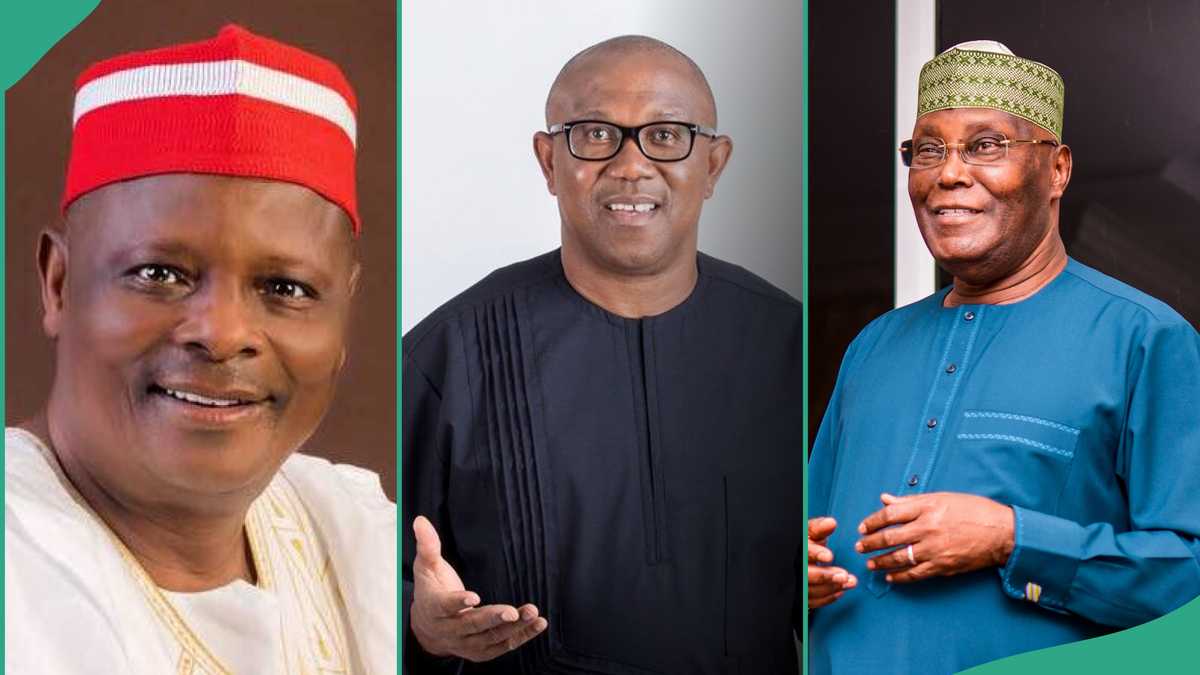 "Meeting El-Rufai Soon": PDP Breaks Silence on Atiku, Peter Obi, Kwankwaso Possible Merger In 2027