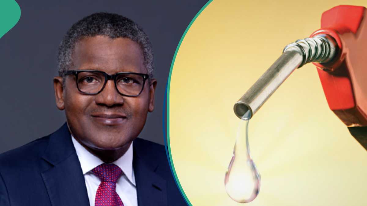 N600/litre: Group Demands Petrol Price Reversal as Dangote Announces New Cost