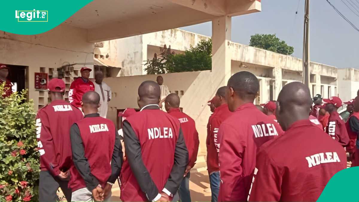 NDLEA Clarifies Position on Alleged Drug Tests for Kano Chairmanship Contenders