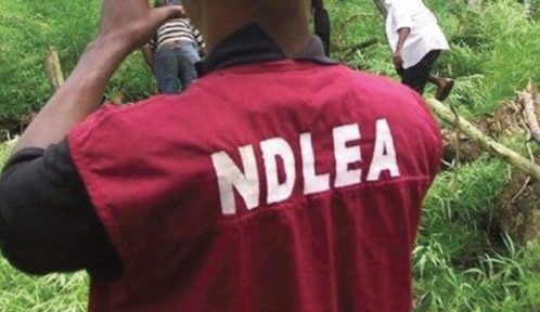 NDLEA arrests 2 wanted kingpins for alleged drug trafficking