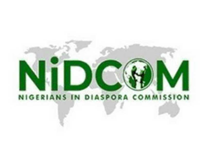 NIDCOM Boss Calls For More Diaspora Investment In Africa