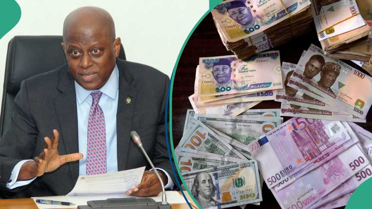 Naira Comeback Begins: CBN Ready to Respond to US Government Decision