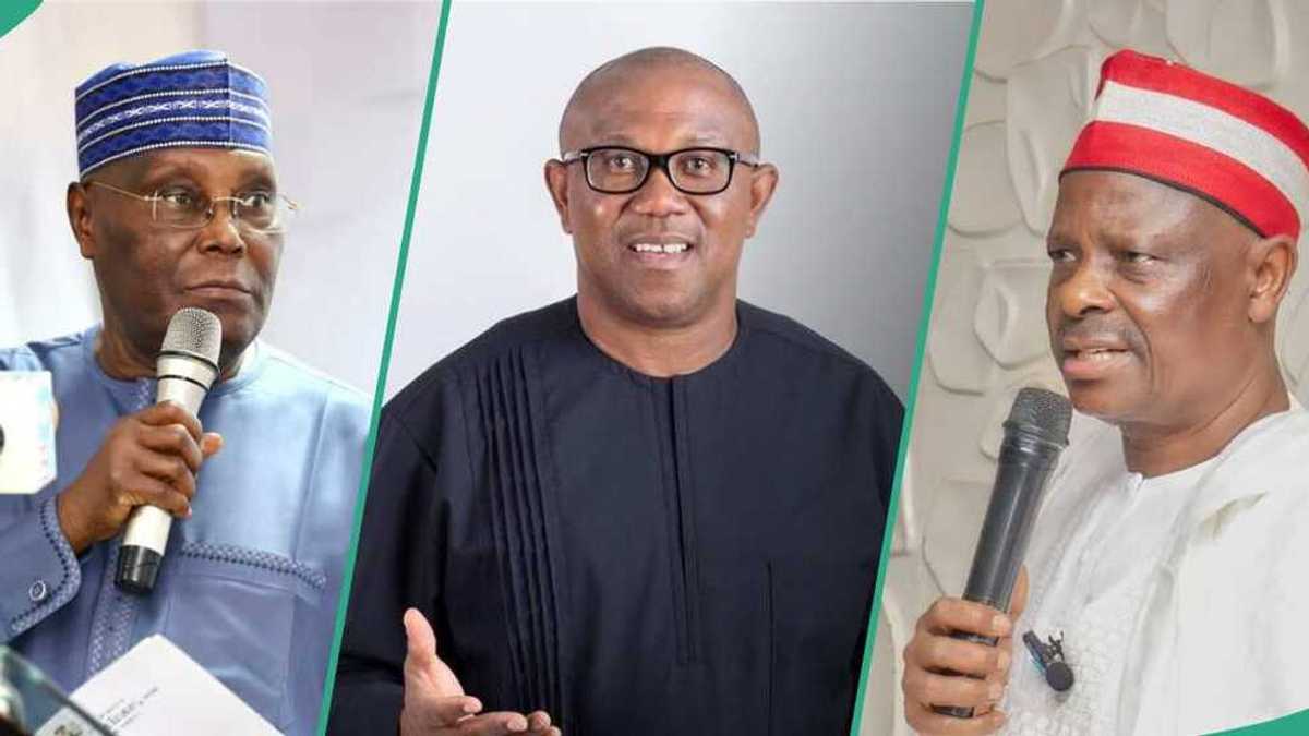 Opposition Reacts as PDP Official Claims Merger Talks Are Ongoing Between Atiku, Obi, Kwankwaso