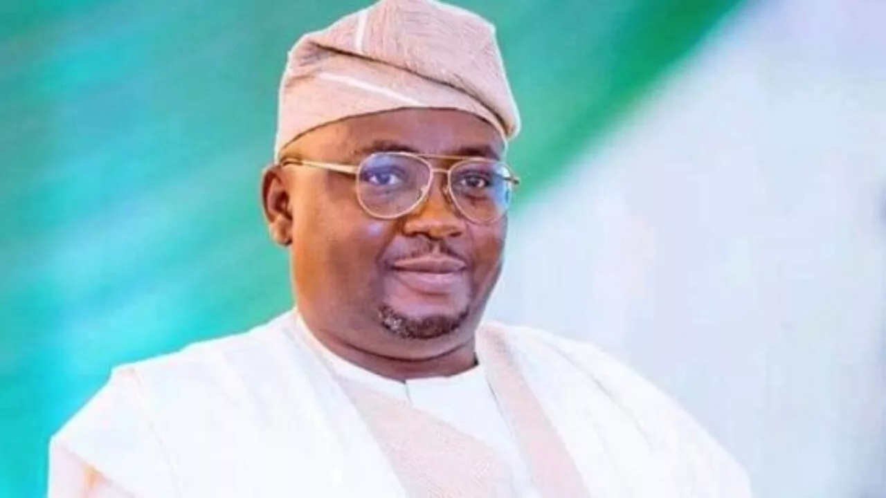 Over 40% Electricity Consumers Now Enjoy 20 Hours Daily Power Supply – Adelabu