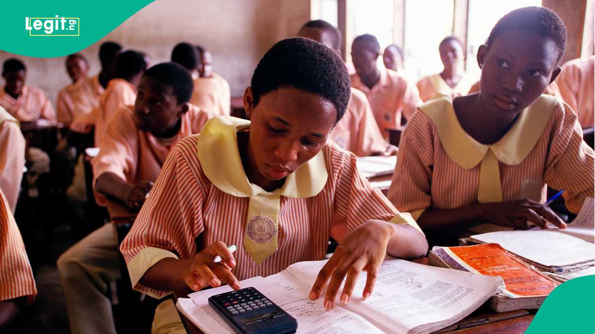 Pass Rate in English and Maths: 5 Key Facts to Know about NECO 2024 Results