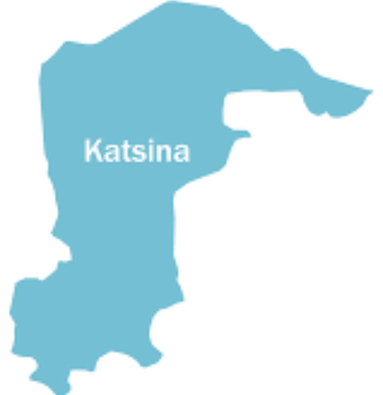 Security outfit intercepts 610 rounds of ammunition in Katsina