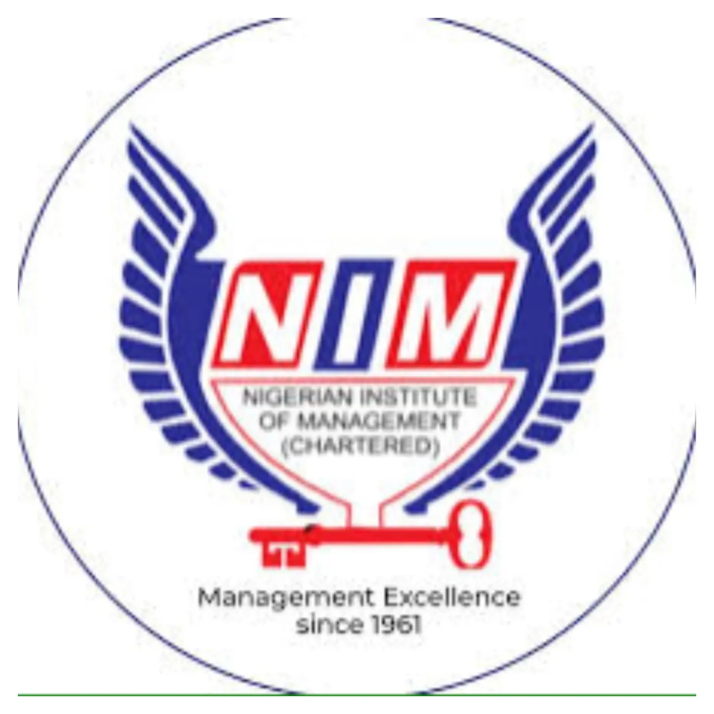 Take steps to mitigate effects of fuel price hike – NIM tells Nigerian Govt