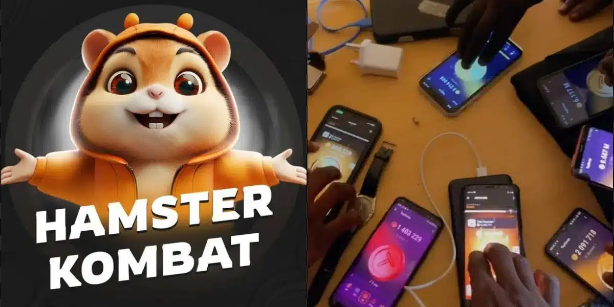 "Tapping phone can't make you rich" - Tutor mock Hamster Kombat's CEOs