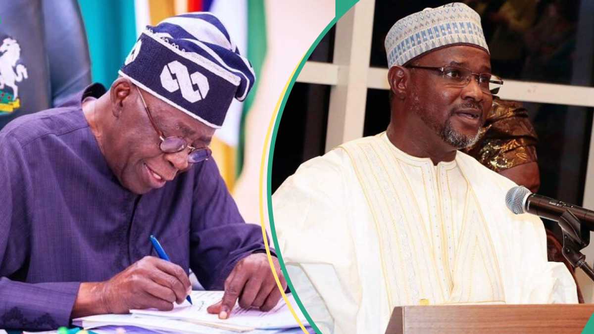 Tinubu Makes 9 Fresh Appointments Into New Agency, Full List Emerge