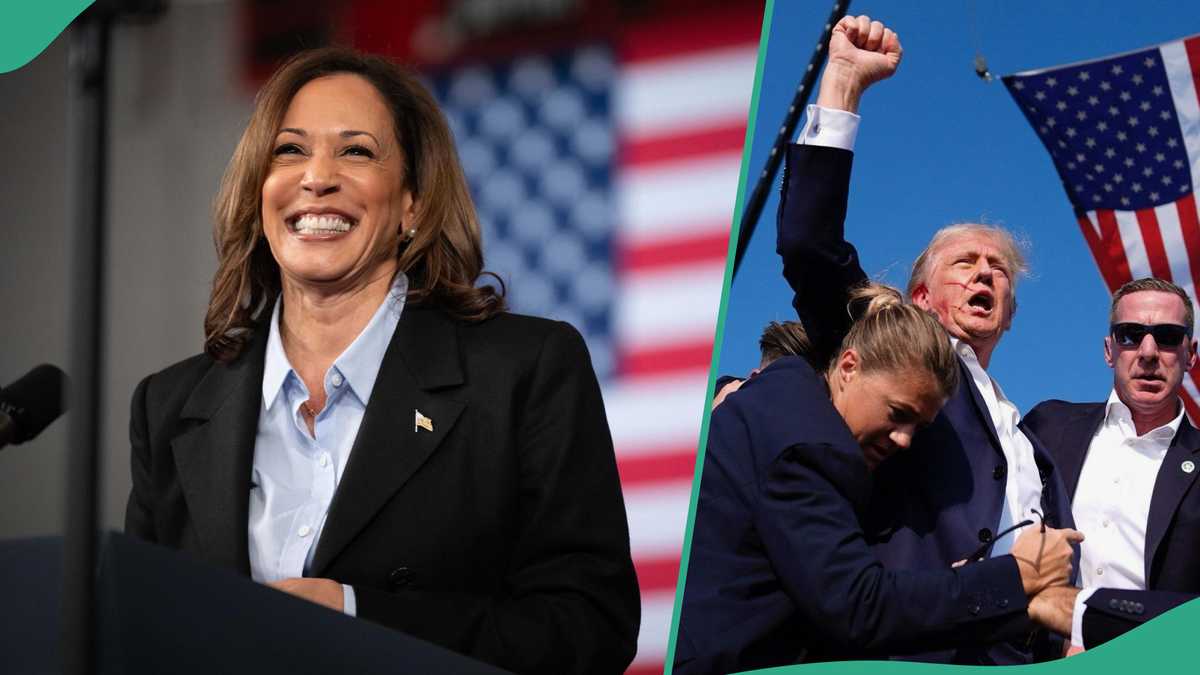 Trump or Harris?: Historian Who Correctly Predicted 9 of Last 10 Elections Makes His 2024 Prediction