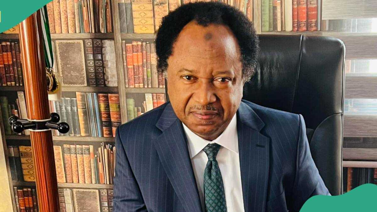 "Win by All Means": Shehu Sani Sounds Warning as Edo Election Tensions Rise