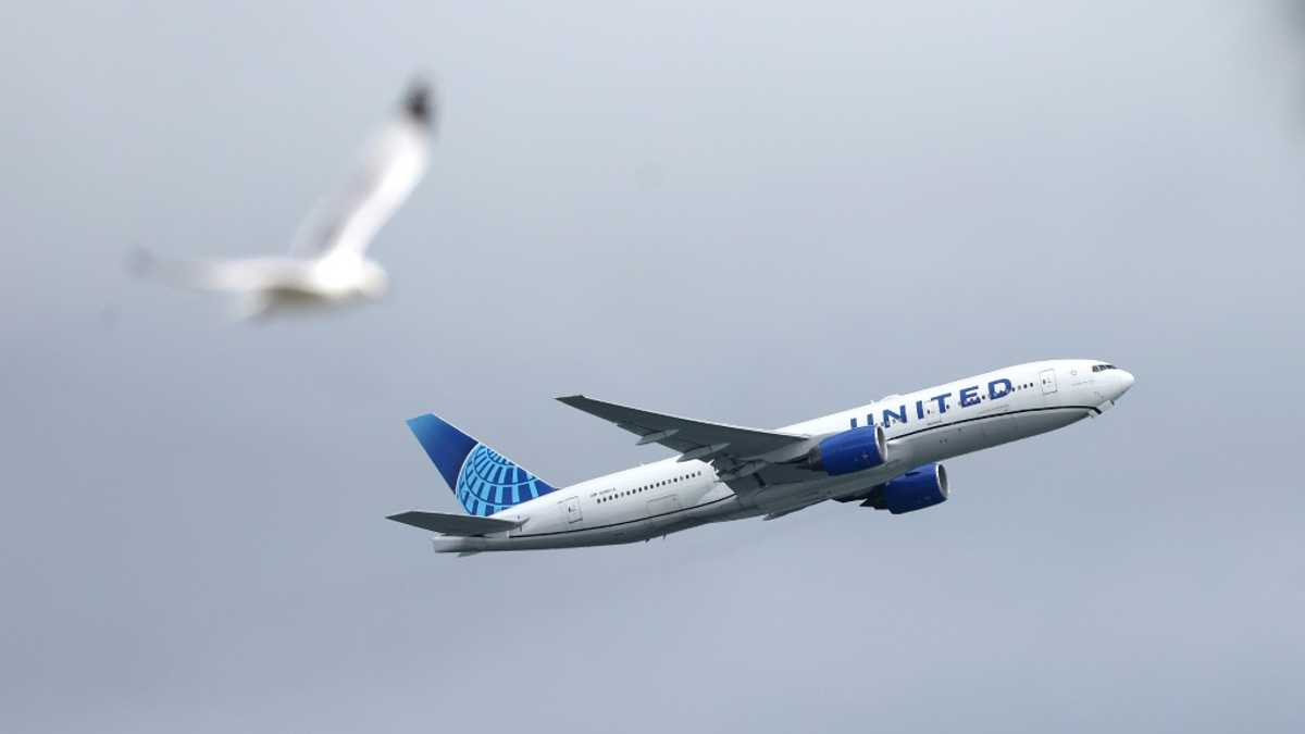 United announces $1.5 bn share buyback as earnings top estimates