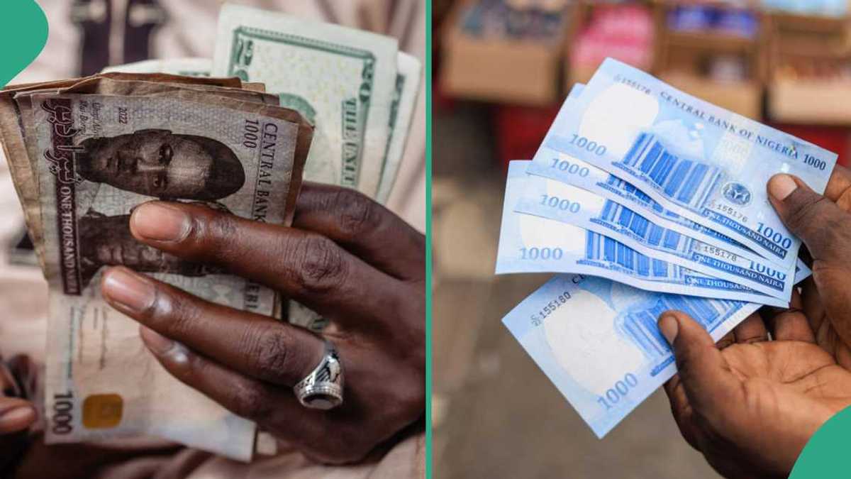 Naira Gets New Ranking in World Bank's List of Worst Performing African Currencies in 2024