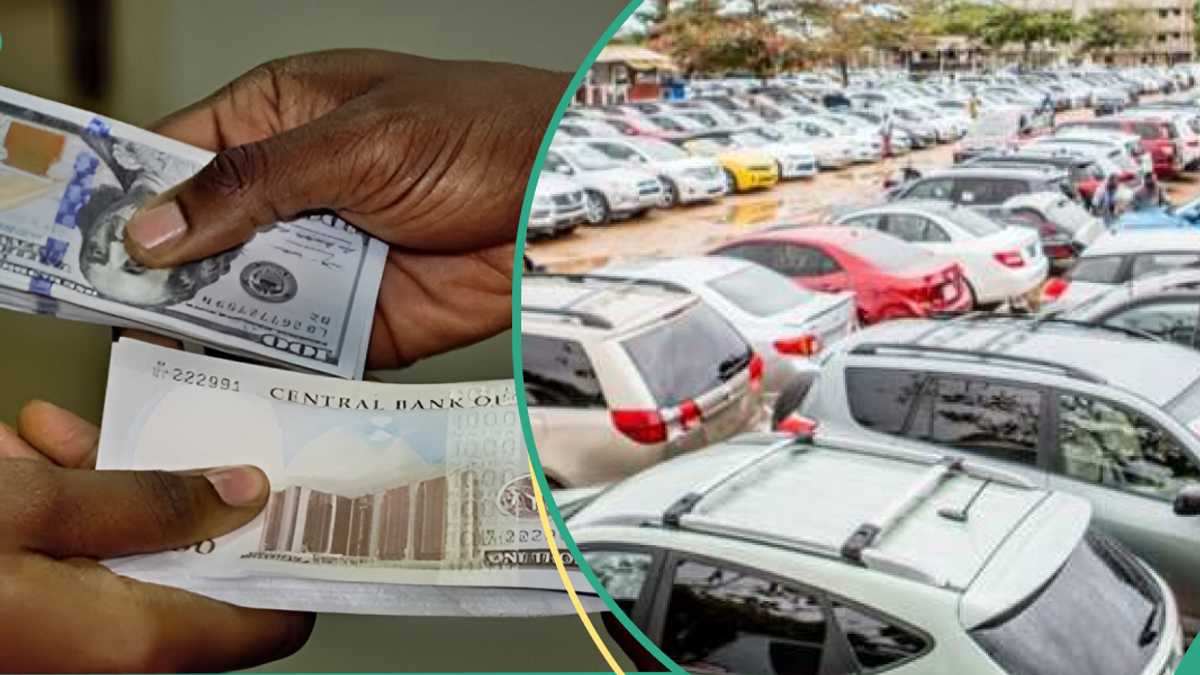 Dealers Raise Concern as Rising Forex Rates, Customs Duties Crush Tokunboh Vehicle Imports