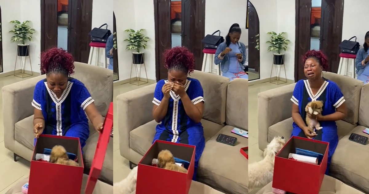 "I got the cutest gift on my birthday" – Lady got surprised with a new puppy after l0sing her dog in May (VIDEO)