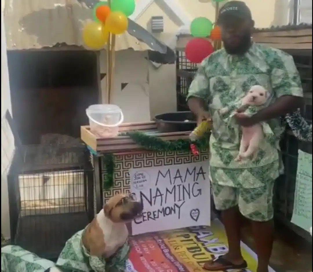 Man celebrates as his dog, Mama, gives birth to 12 puppies, names them Bella, Bolanle, and more