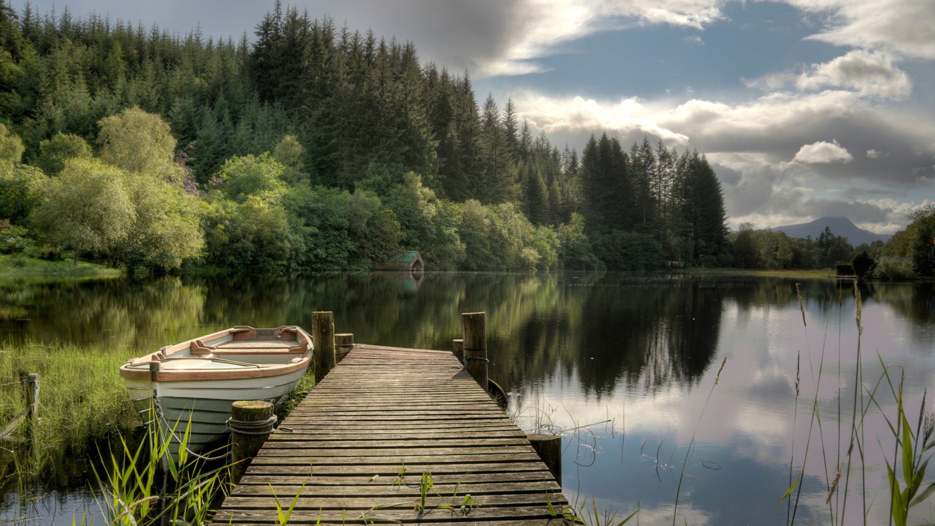 'Fairytale' forest in Scotland with rare animals & 'man-made wonders' named best in UK