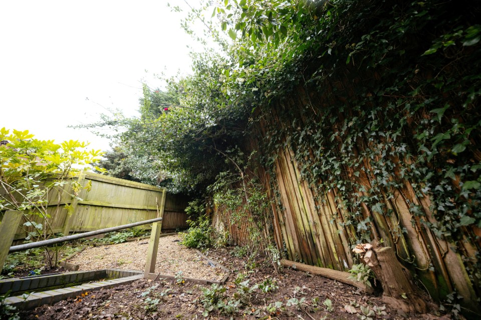 The hedge runs the length of her property along an alleyway that backs onto the nearby Brookside estate and belongs to Telford and Wrekin Council