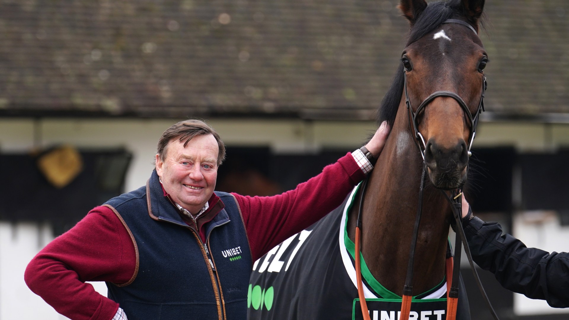 Bookies reveal 3-1 Constitution Hill special after Nicky Henderson's stable star impresses in Newbury gallop