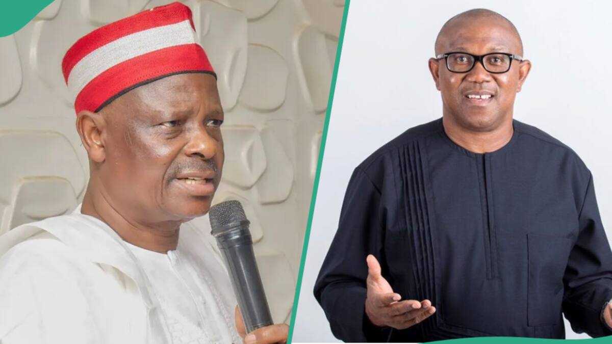 2027: APC Rubbishes Obi, Kwankwaso Alliance Proposal, Gives 4 Reasons Why it Will Fail