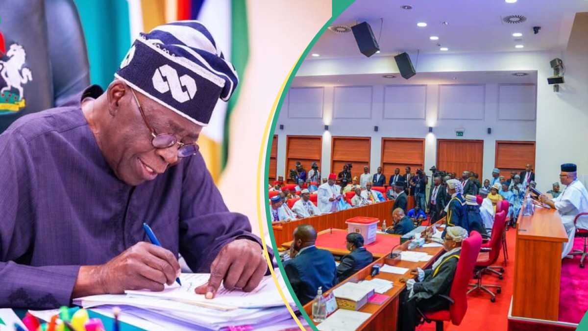 Cabinet Reshuffle: Tinubu Writes Senate to Confirm Bianca Ojukwu, 6 Other Ministerial Nominees