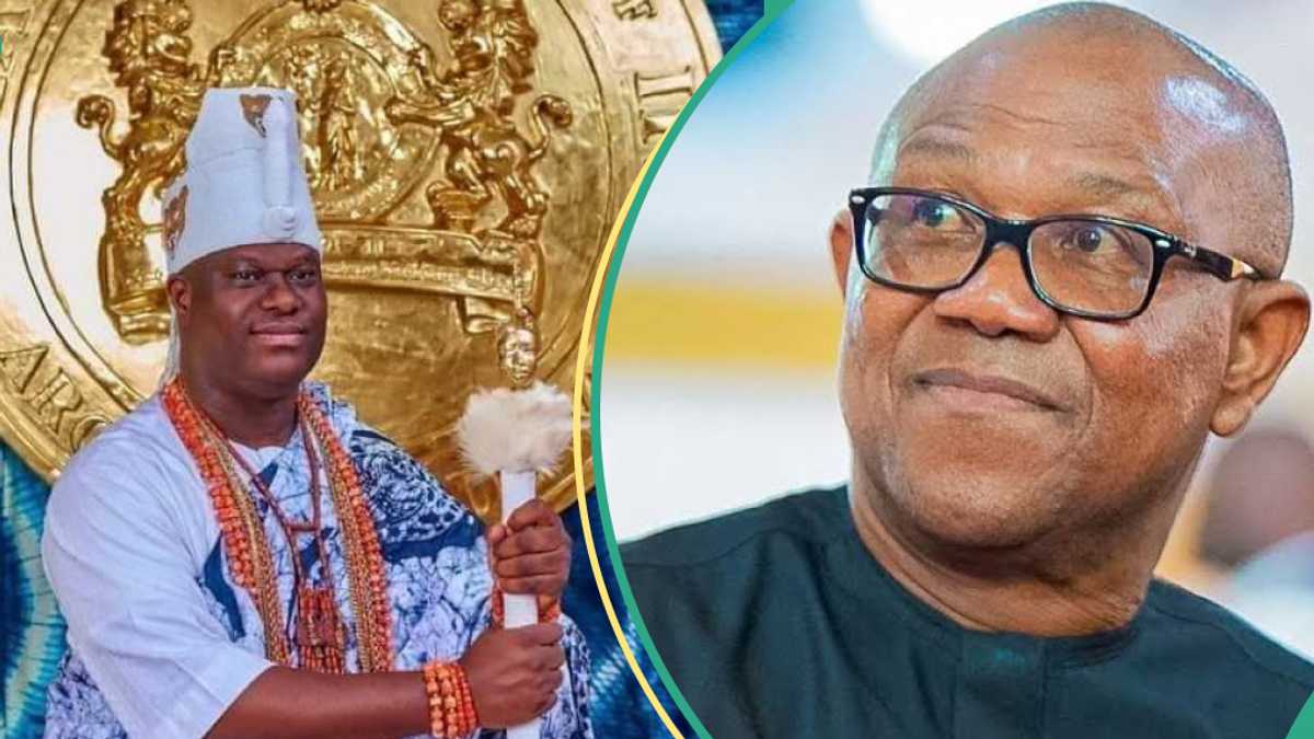 "I'm Disappointed": Top Obidient Calls Out Peter Obi For Failing to Celebrate Ooni of Ife at 50