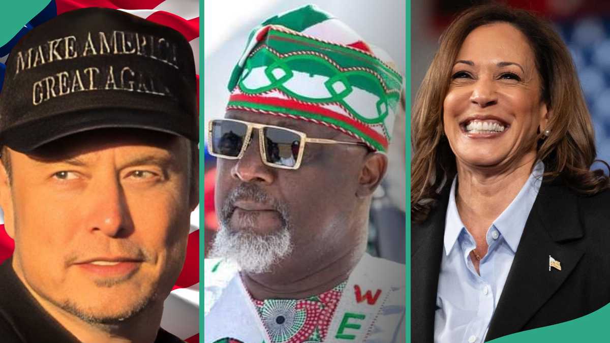 Kamala Harris vs Donald Trump: Dine Melaye Issues Threat to Elon Musk