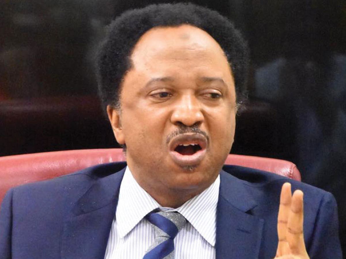 Nigeria must demand explanation from US govt – Shehu Sani on ‘foreign object’ hitting Shettima’s plane