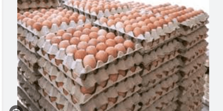 Price of crate of eggs to hit N10k as poultry farmers cry out