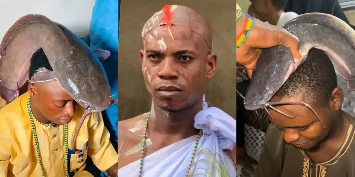 "My matter don pass fish, put crocodile" - Reactions as herbalist places live catfish on clients' heads