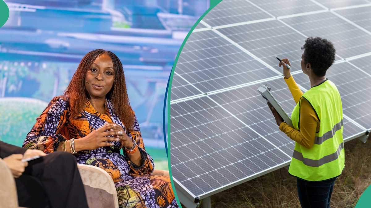 Transcorp's CEO Omogiafo Advocates for Equitable Energy Access and Gender Inclusion