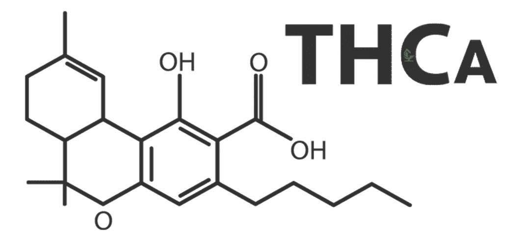 What To Look For In A THCA Pre-Roll